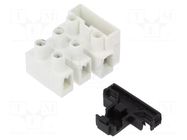 Connector: terminal block; 450V; screw terminal; Contacts: brass BM GROUP