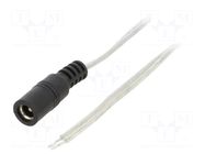 Cable; 2x0.5mm2; wires,DC 5,5/2,5 socket; straight; transparent BQ CABLE