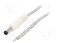 Cable; 2x0.5mm2; wires,DC 5,5/2,5 plug; straight; transparent; 5m BQ CABLE