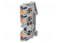 Splice terminal: rail; PT; 41A; 1kV; for DIN rail mounting; grey PHOENIX CONTACT