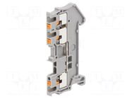 Splice terminal: rail; PT; 17.5A; 500V; for DIN rail mounting PHOENIX CONTACT