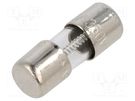 Fuse: fuse; time-lag; 3A; 350VAC; cylindrical,glass; 5x15mm; brass BEL FUSE
