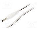 Cable; 2x0.35mm2; wires,DC 3,5/1,3 plug; straight; white; 0.5m WEST POL