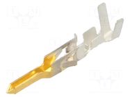Contact; male; phosphor bronze; gold-plated; 24AWG÷18AWG; bulk MOLEX