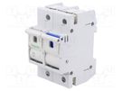 Fuse disconnector; D02; for DIN rail mounting; 63A; Poles: 1+N SCHNEIDER ELECTRIC