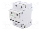 Fuse disconnector; D02; for DIN rail mounting; 63A; Poles: 2 SCHNEIDER ELECTRIC