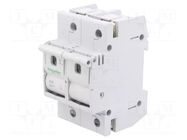 Fuse disconnector; D02; for DIN rail mounting; 63A; Poles: 2; 400V SCHNEIDER ELECTRIC