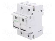 Fuse disconnector; D02; for DIN rail mounting; 63A; Poles: 2; 400V SCHNEIDER ELECTRIC