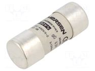 Fuse: fuse; 63A; 500VAC; gG; ceramic; 22x58mm SCHNEIDER ELECTRIC