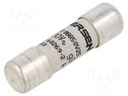 Fuse: fuse; gG; 25A; 400VAC; ceramic; 10x38mm SCHNEIDER ELECTRIC