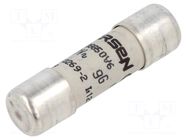 Fuse: fuse; 6A; 500VAC; gG; ceramic; 10x38mm SCHNEIDER ELECTRIC