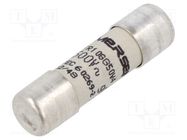 Fuse: fuse; gG; 4A; 500VAC; ceramic; 10x38mm SCHNEIDER ELECTRIC