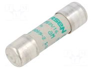 Fuse: fuse; 16A; 500VAC; aM; ceramic; 10x38mm SCHNEIDER ELECTRIC