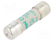 Fuse: fuse; 10A; 500VAC; aM; ceramic; 10x38mm SCHNEIDER ELECTRIC