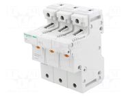 Fuse base; 14x51mm; for DIN rail mounting; 50A; Poles: 3 SCHNEIDER ELECTRIC