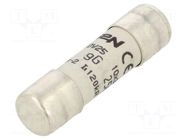 Fuse: fuse; 25A; 500VAC; 250VDC; gG; 10x38mm MERSEN