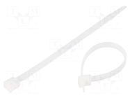 Cable tie; L: 120mm; W: 4.8mm; natural; polyamide; 135N; Ømax: 28mm HELLERMANNTYTON