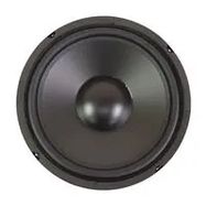 10" Poly Cone Woofer with Rubber Surroun
