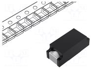 Fuse: fuse; 250mA; 125VAC; 125VDC; quick blow; 7.4x3.1mm; SMD SCHURTER