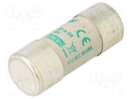 Fuse: fuse; aM; 16A; 690VAC; cylindrical,industrial; 22x58mm HAGER