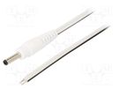 Cable; 2x0.5mm2; wires,DC 3,5/1,3 plug; straight; white; 0.5m WEST POL