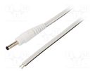 Cable; 2x0.5mm2; wires,DC 3,5/1,3 plug; straight; white; 1.5m WEST POL