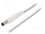 Cable; 2x0.35mm2; wires,DC 5,5/2,5 plug; straight; white; 1.5m WEST POL