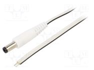 Cable; 2x0.5mm2; wires,DC 5,5/2,5 plug; straight; white; 1.5m WEST POL