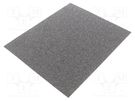 Cleaning cloth: sandpaper; Granularity: 30; 230x280mm PG PROFESSIONAL