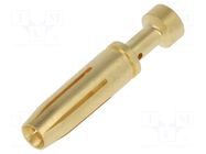 Contact; female; EPIC H-BE 2.5; gold-plated; 0.14÷0.37mm2 LAPP