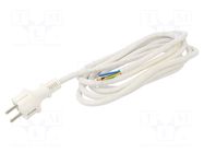 Cable; 3x2.5mm2; CEE 7/7 (E/F) plug,wires,SCHUKO plug; PVC; 3m PLASTROL
