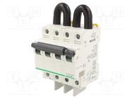 Switch-disconnector; Poles: 2; for DIN rail mounting; 50A; Acti 9 SCHNEIDER ELECTRIC