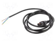 Cable; IEC C13 female,wires; 2m; with IEC LOCK locking; black SCHAFFNER / TE Connectivity