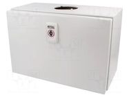 Enclosure: wall mounting; X: 300mm; Y: 200mm; Z: 155mm; AX; steel RITTAL
