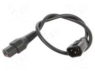 Cable; IEC C13 female,IEC C14 male; 0.5m; with IEC LOCK locking SCHAFFNER / TE Connectivity