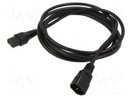 Cable; IEC C13 female,IEC C14 male; 3.5m; with IEC LOCK locking SCHAFFNER / TE Connectivity
