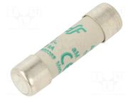 Fuse: fuse; 1A; 500VAC; aM; ceramic,cylindrical,industrial DF ELECTRIC