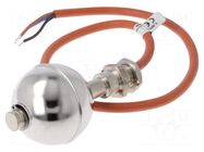 Sensor: liquid level; -25÷120°C; OUT: CO; IP67; stainless steel CARLO GAVAZZI