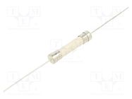 Fuse: fuse; time-lag; 15A; 250VAC; 125VDC; ceramic,cylindrical EATON/BUSSMANN