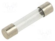 Fuse: fuse; quick blow; 3.15A; 250VAC; glass; 6.3x32mm; brass; FSA OPTIFUSE