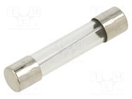 Fuse: fuse; quick blow; 6.3A; 250VAC; glass; 6.3x32mm; brass; FSA OPTIFUSE