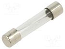 Fuse: fuse; quick blow; 6A; 250VAC; glass; 6.3x32mm; brass; FSA; bulk OPTIFUSE