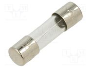 Fuse: fuse; quick blow; 300mA; 250VAC; glass; 5x20mm; bulk OPTIFUSE