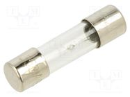 Fuse: fuse; medium time-lag; 6.3A; 250VAC; glass; 5x20mm; brass OPTIFUSE