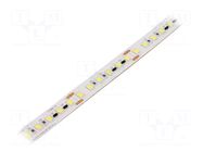 LED tape; white cold; 2835; LED/m: 120; 12mm; white PCB; IP20; 120° IPIXEL LED