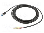 Cable: for sensors/automation; M12; PIN: 8; straight; 5m; plug; 2A; Y SICK