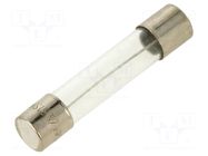 Fuse: fuse; 200mA; 250VAC; time-lag; glass; 6.3x32mm; TSA; brass OPTIFUSE