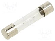 Fuse: fuse; time-lag; 2A; 250VAC; glass; 6.3x32mm; brass; TSA 