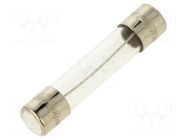 Fuse: fuse; 300mA; 250VAC; time-lag; glass; 6.3x32mm; TSA; brass OPTIFUSE