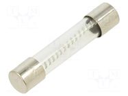 Fuse: fuse; 6.3A; 250VAC; time-lag; glass; 6.3x32mm; TSA; brass OPTIFUSE